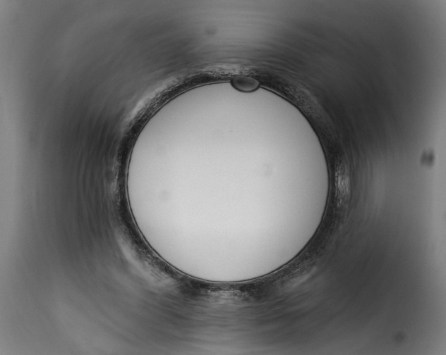 X0000115230396200911201602