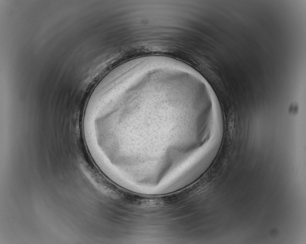 X0000115230398200911201602