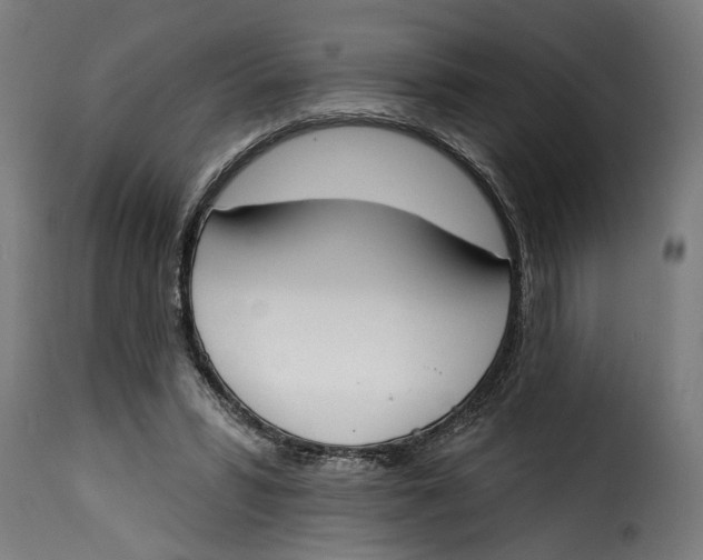 X0000115230399200911201602