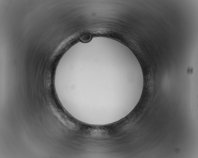 X0000115230400200911201602