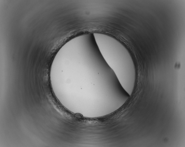 X0000115230401200911201602