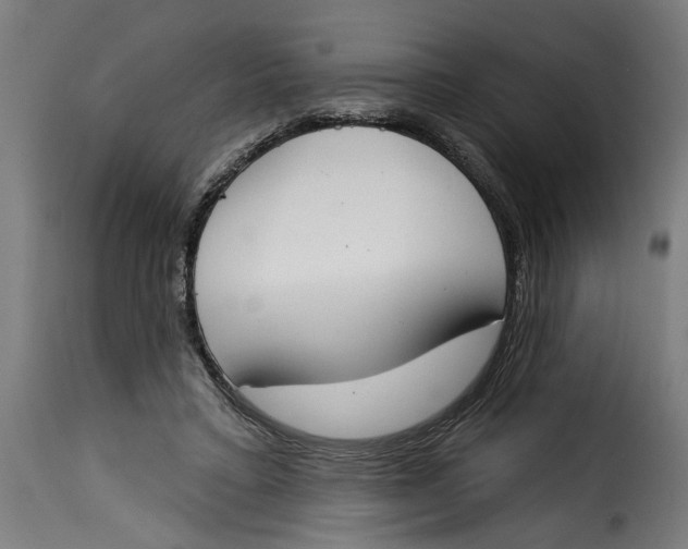 X0000115230403200911201602