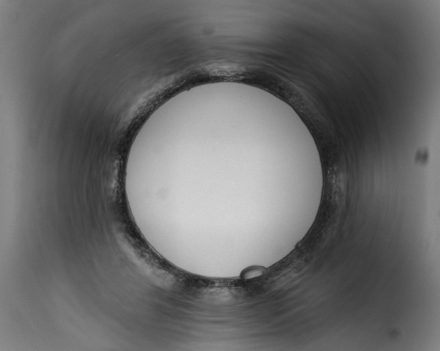 X0000115230404200911201602