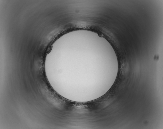 X0000115230407200911201602