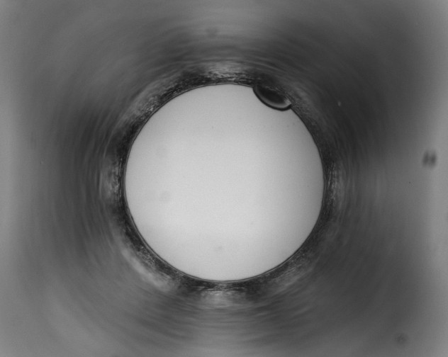 X0000115230408200911201602