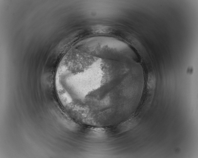 X0000115230409200911201602