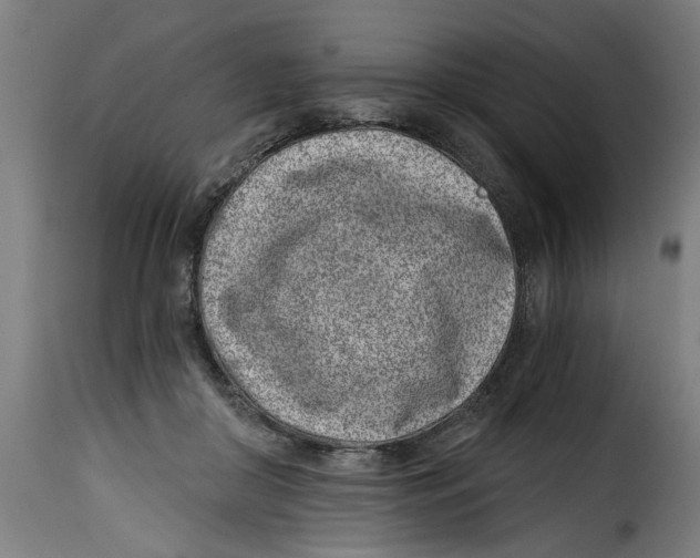 X0000115230410200911201602