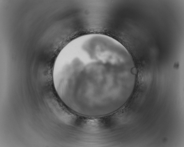 X0000115230411200911201602