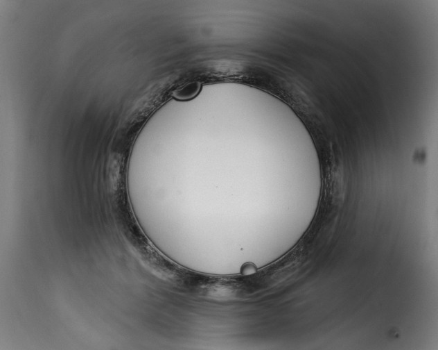 X0000115230412200911201602