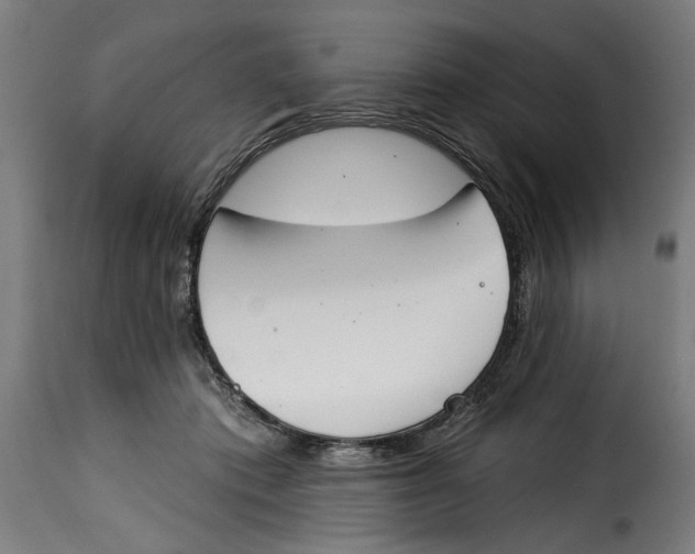 X0000115230413200911201602