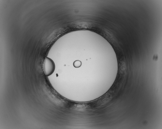 X0000115230414200911201602