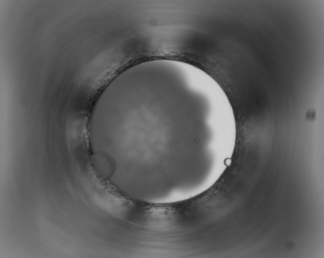 X0000115230415200911201602