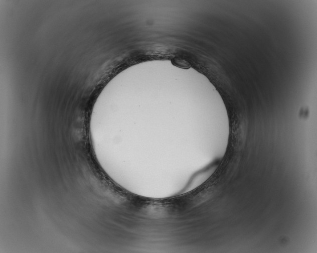 X0000115230416200911201602