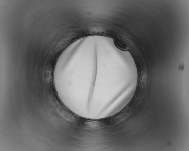 X0000115230417200911201602