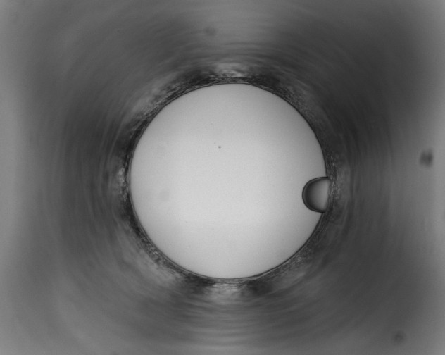 X0000115230418200911201602