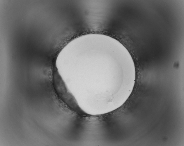 X0000115230419200911201602