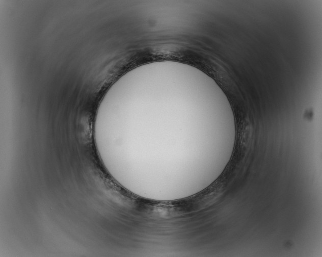 X0000115230420200911201602