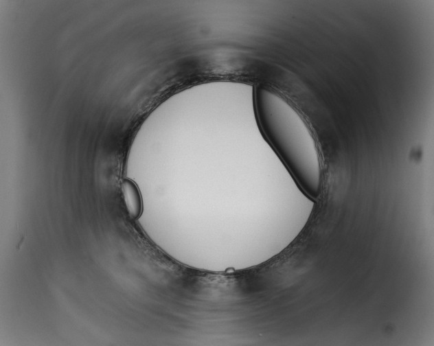 X0000115230421200911201602