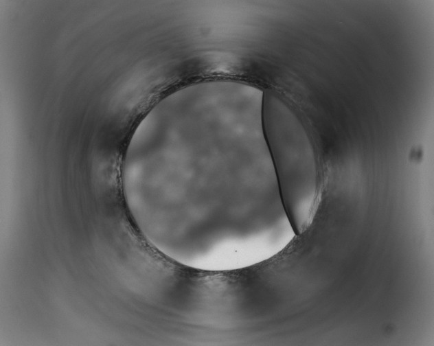 X0000115230423200911201602