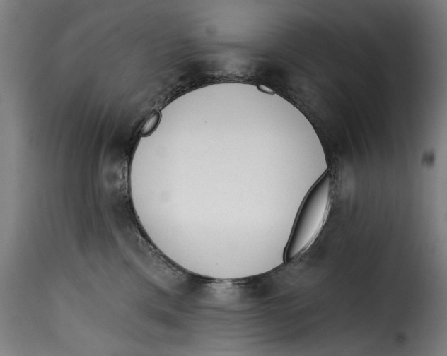 X0000115230425200911201602