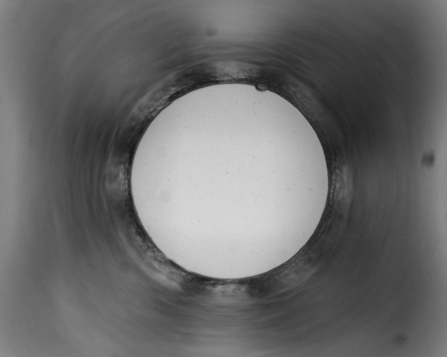 X0000115230426200911201602