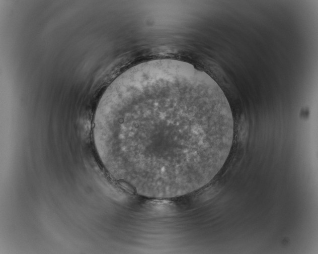 X0000115230427200911201602