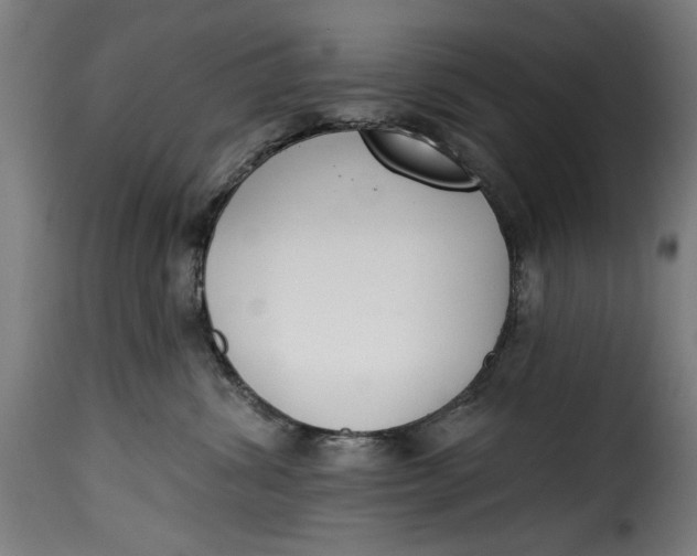 X0000115230428200911201602