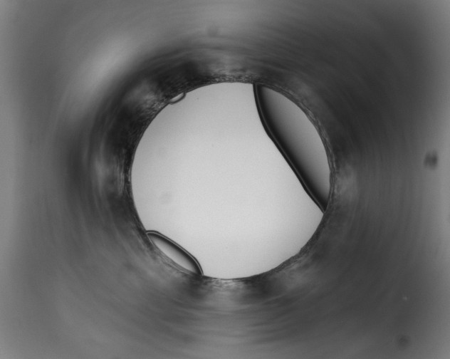 X0000115230429200911201602