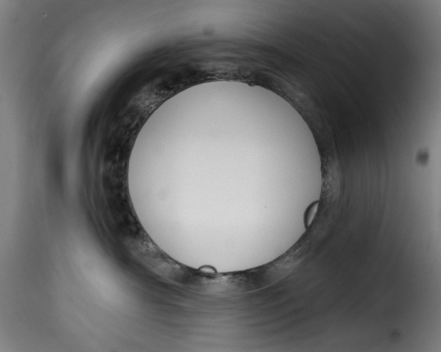 X0000115230430200911201602