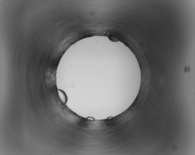 X0000115230432200911201602