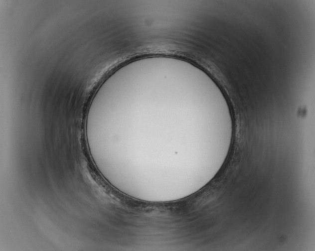 X0000115230434200911201601