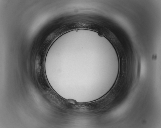 X0000115230435200911201601