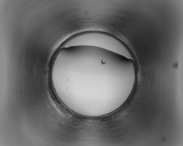 X0000115230436200911201601