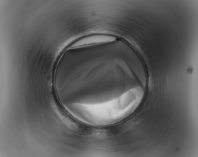 X0000115230438200911201601