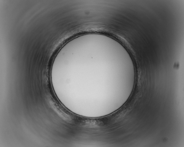 X0000115230439200911201601