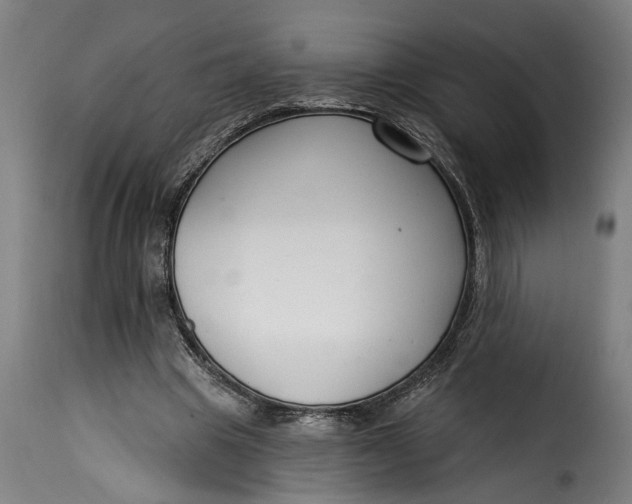 X0000115230441200911201601