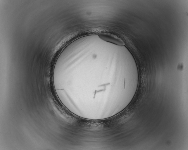 X0000115230443200911201601