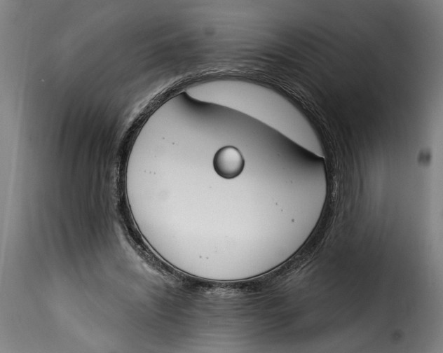 X0000115230444200911201601