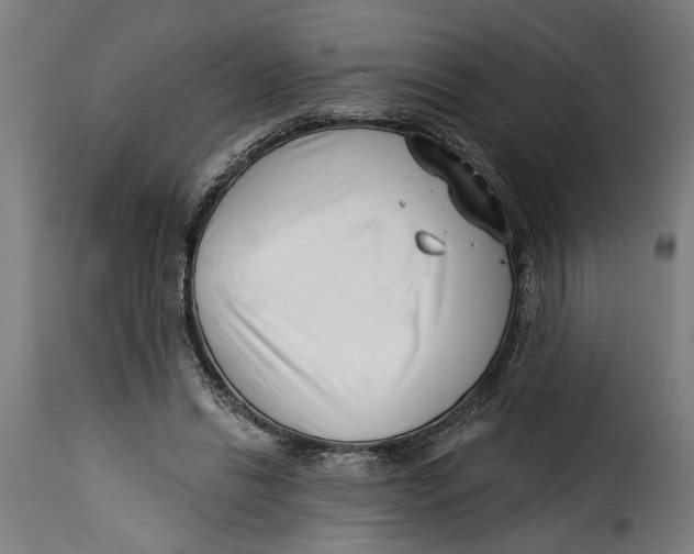 X0000115230446200911201601