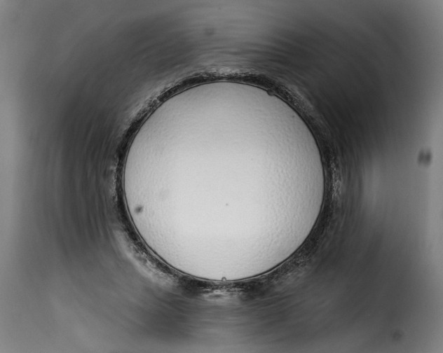 X0000115230447200911201601