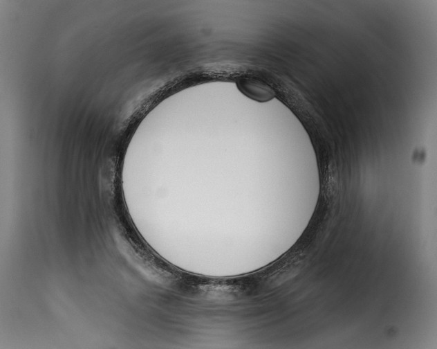 X0000115230448200911201601