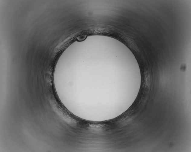 X0000115230450200911201601