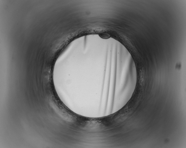 X0000115230451200911201601