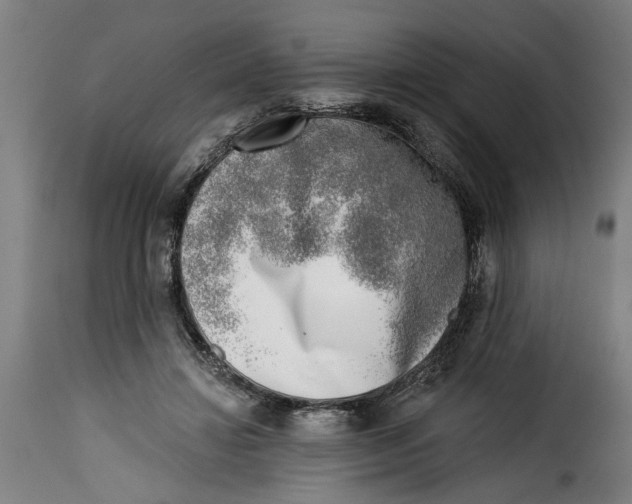 X0000115230452200911201601