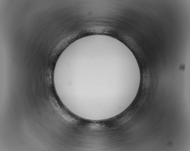 X0000115230453200911201601