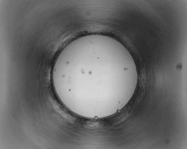 X0000115230454200911201601