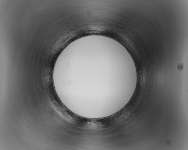 X0000115230455200911201601