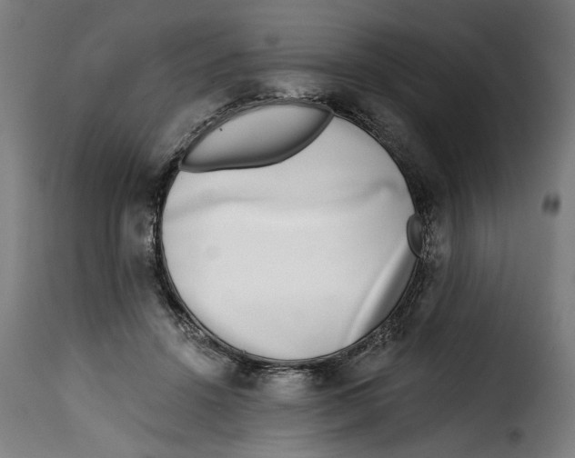 X0000115230456200911201601