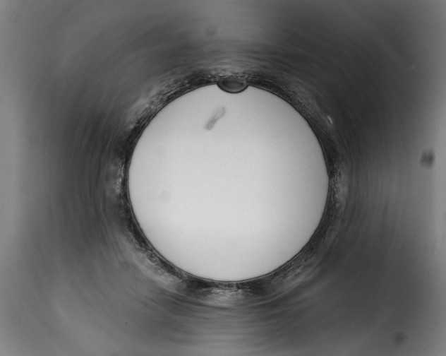 X0000115230458200911201601