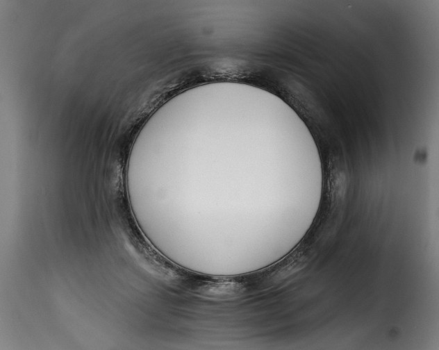 X0000115230459200911201601